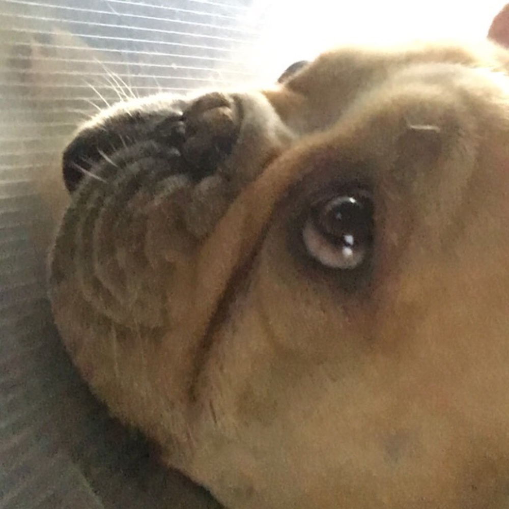 Meet your Posher, Zima